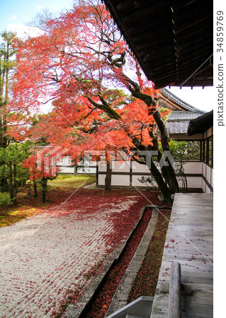 Corridor and colored leaves of Ninna-ji Temple, Hakushoin Corridor and colored leaves of Ninna-ji Temple, Hakushoin 34859769