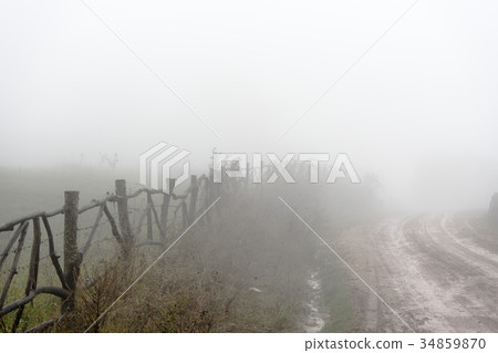 Uneven road, hedge, fog in the Armenian village Uneven road, hedge, fog in the Armenian village 34859870