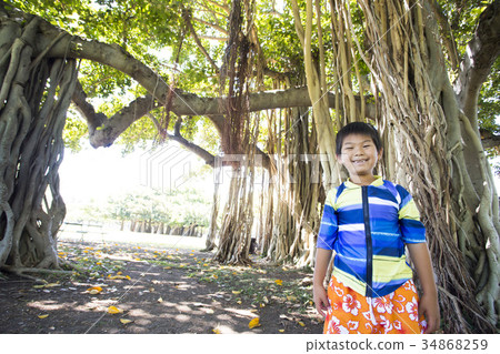榕樹和男孩 34868259