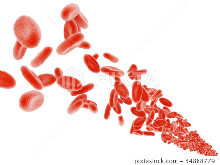Erythrocyte Erythrocyte 34868779