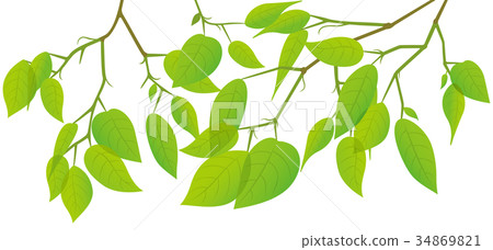 Image illustration of fresh green leaves - Stock Illustration [34869821 ...