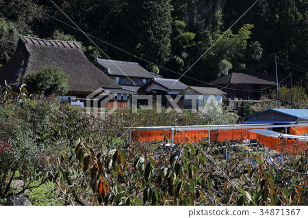 Aoi no Sato Shigosato Higashitani Aoi no Sato Shigosato Higashitani 34871367