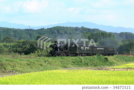 Steam locomotive (SL Hitoyoshi) running in the rice fields and rural scenery of Hitoyoshi City, Kumamoto Prefecture Steam locomotive (SL Hitoyoshi) running in the rice fields and rural scenery of Hitoyoshi City, Kumamoto Prefecture 34871521
