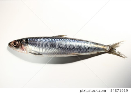 Urume sardine 34871919