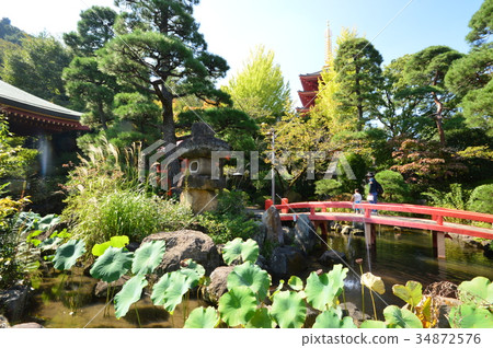 Fall of Takahata Fudo Town Hino Fall of Takahata Fudo Town Hino 34872576