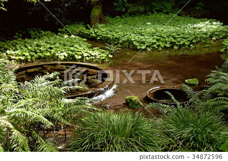 Kakita河春天春天 34872596