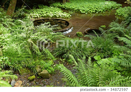 Kakita河春天春天 Kakita河春天春天 34872597