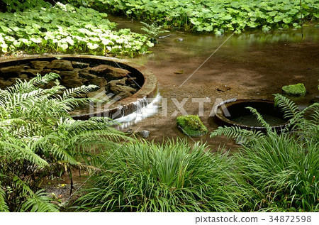 Kakita河春天春天 34872598