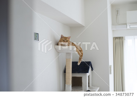 我回來了 34873077