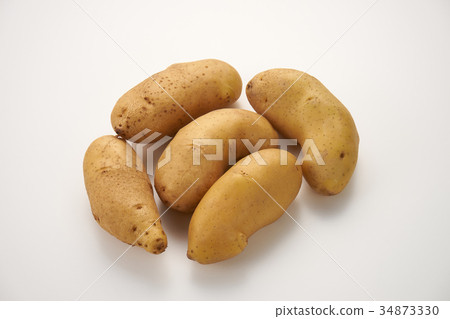 potato potato 34873330