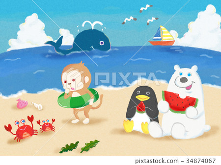 Sea play of the animals 34874067