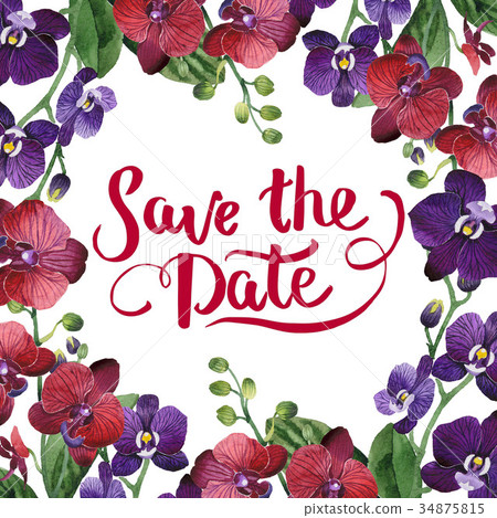 Wildflower orchid flower frame in a watercolor 34875815