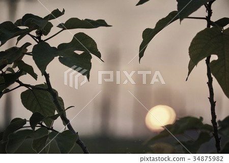 鄉村夕陽 鄉村夕陽 34875982