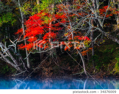 Autumn leaves of Onneto 34876009