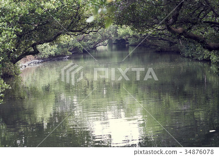 四草綠色隧道 34876078