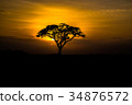 Sunset of savanna 34876572
