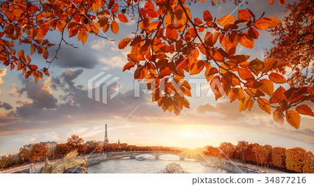 Eiffel Tower with autumn leaves in Paris, France Eiffel Tower with autumn leaves in Paris, France 34877216