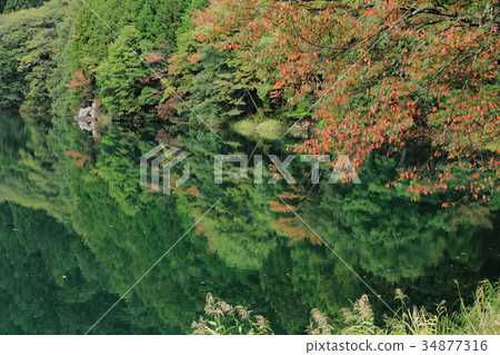 湖Nakatsunaki湖表面在秋天 34877316