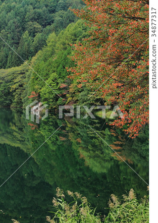 湖Nakatsunaki湖表面在秋天 34877317