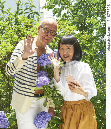 Smartphone SNS senior couple Hydrangea 34877708