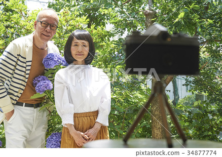 Commemorative photo Senior couple Hydrangea Commemorative photo Senior couple Hydrangea 34877774