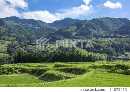 莊內的田田 莊內的田田 34879453