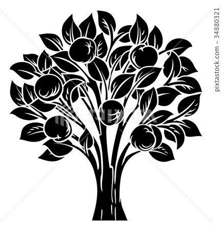 Apple Tree Apple Tree 34880321