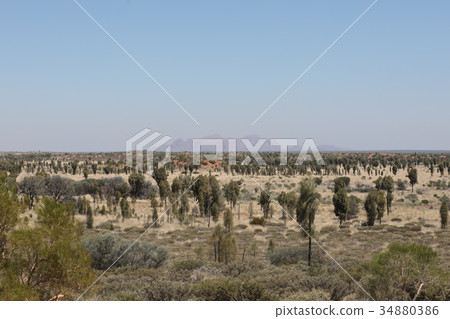 澳大利亞Kata Tjuta 34880386