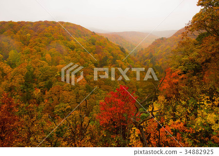 Hakkoda秋葉 Hakkoda秋葉 34882925