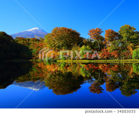 Autumn leaves Chokaiyama 34883035