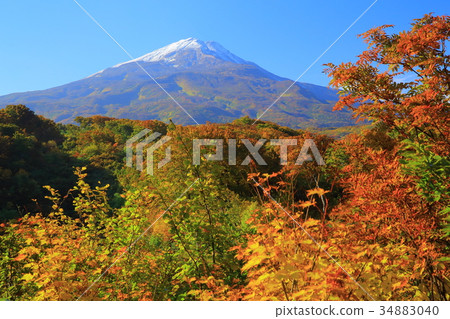 Autumn leaves Chokaiyama 34883040