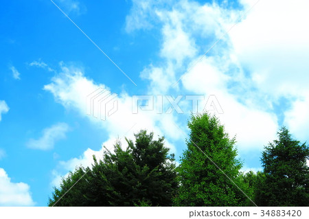 環境美化與新鮮的綠色和藍天 34883420