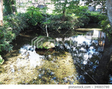 Rokugo spring spring Shimizu Rokugo spring spring Shimizu 34883780