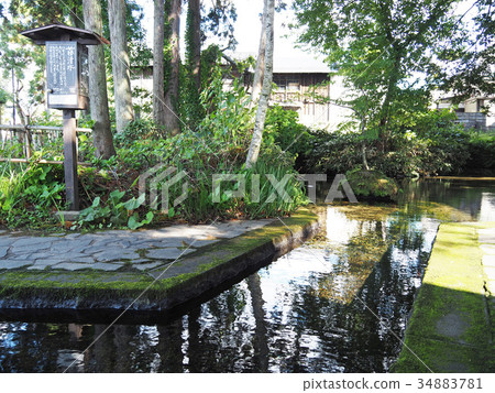 Rokugo spring spring Shimizu Rokugo spring spring Shimizu 34883781