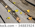 autumn leaves on floor 34883924