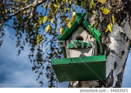 Birdhouse on a tree in the autumn forest. 34883925
