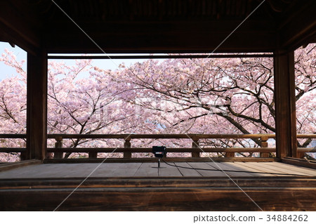 從滋賀三井寺Kantsuki的舞台上看到的櫻花 34884262