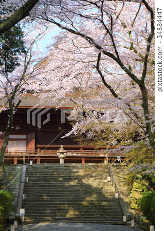 Shiga Spring of Mitsui's Temple Shiga Spring of Mitsui's Temple 34884447