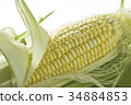 Sweet Corn 34884853
