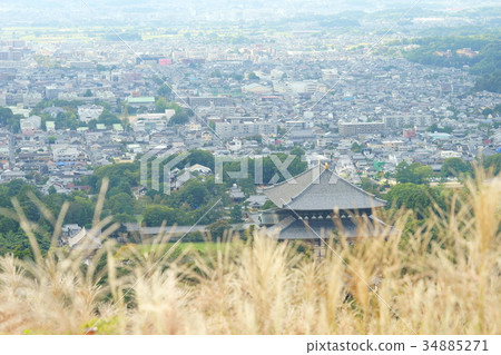Fall Todai-ji Temple distant view 2 34885271