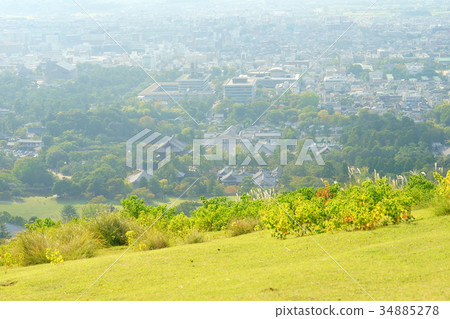 奈良Wakasasan第1眼5 奈良Wakasasan第1眼5 34885278