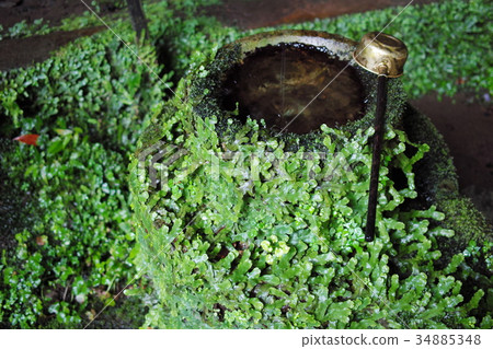 青苔和水碗和样式碗 青苔和水碗和样式碗 34885348