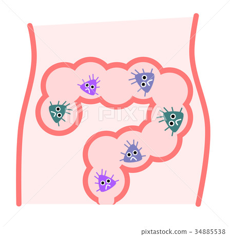 Intestinal illustration 34885538