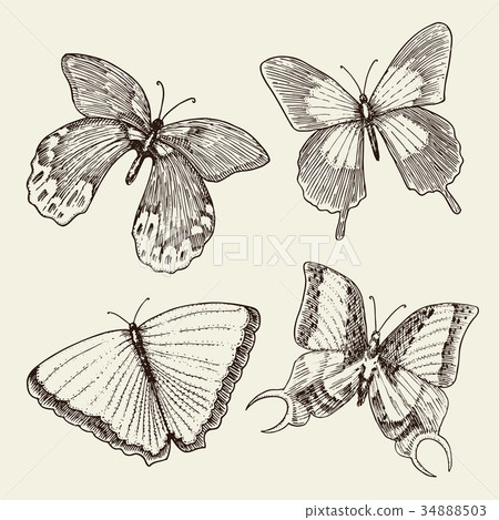 tattoo or boho t-shirt or scrapbooking design tattoo or boho t-shirt or scrapbooking design 34888503