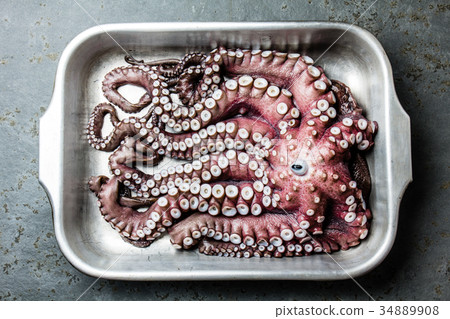 Seafood octopus. Whole fresh raw octopus on gray 34889908