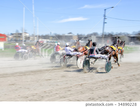 Racing horses harnessed to lightweight strollers. Racing horses harnessed to lightweight strollers. 34890228