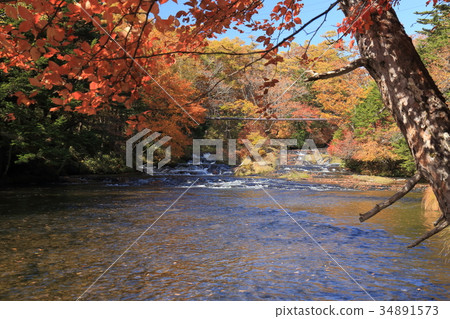 Autumn leaves of Oku-Nikko Yukawa 34891573