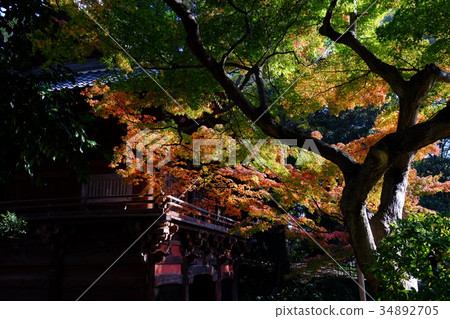 秋天的場景 秋天的場景 34892705