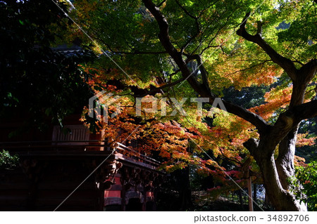 秋天的場景 秋天的場景 34892706