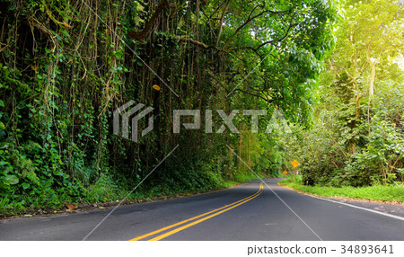 Famous Road to Hana Famous Road to Hana 34893641